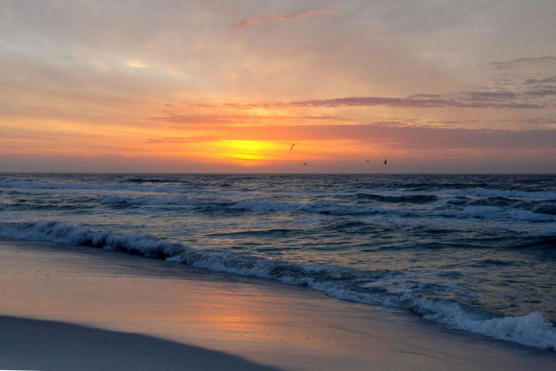 Commodore 502 Holiday home Panama City Beach
